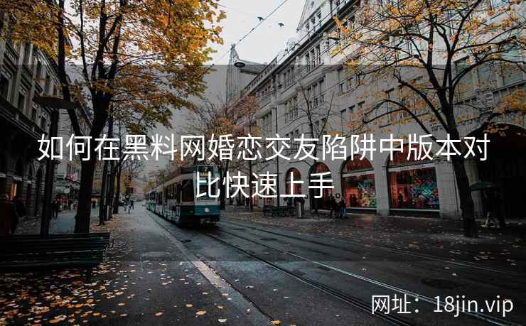 如何在黑料网婚恋交友陷阱中版本对比快速上手