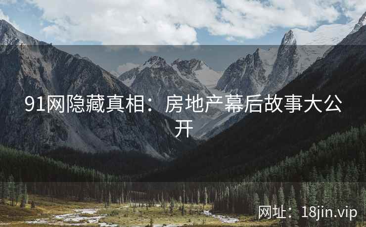 91网隐藏真相：房地产幕后故事大公开