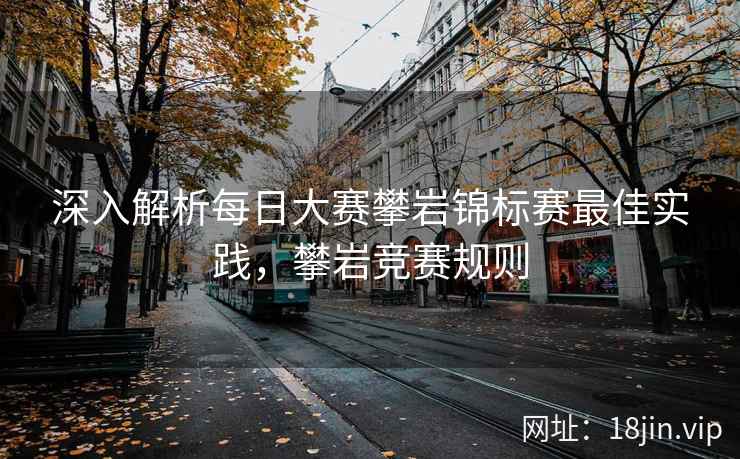 深入解析每日大赛攀岩锦标赛最佳实践，攀岩竞赛规则