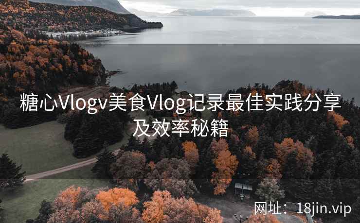 糖心Vlogv美食Vlog记录最佳实践分享及效率秘籍