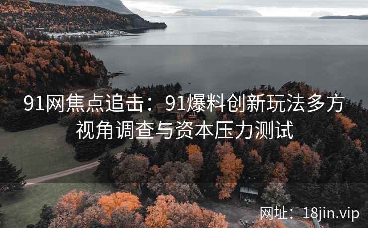 91网焦点追击：91爆料创新玩法多方视角调查与资本压力测试