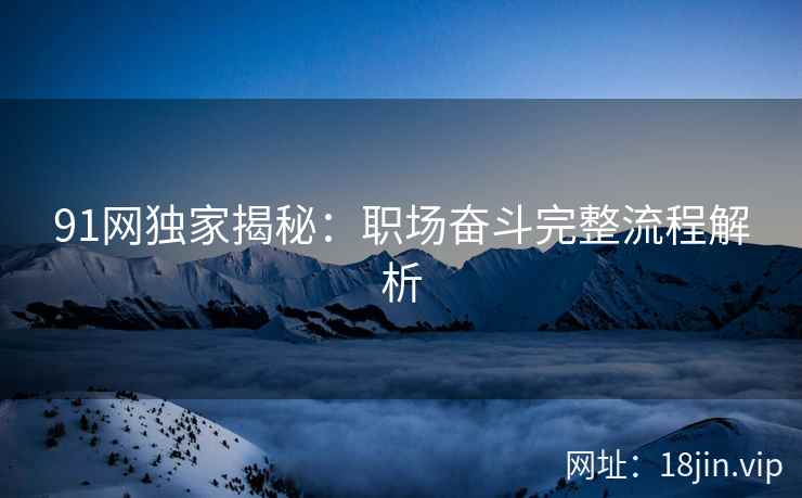 91网独家揭秘：职场奋斗完整流程解析