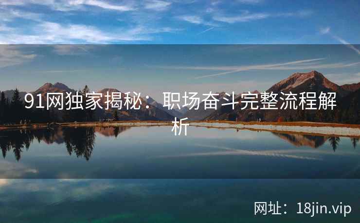 91网独家揭秘：职场奋斗完整流程解析