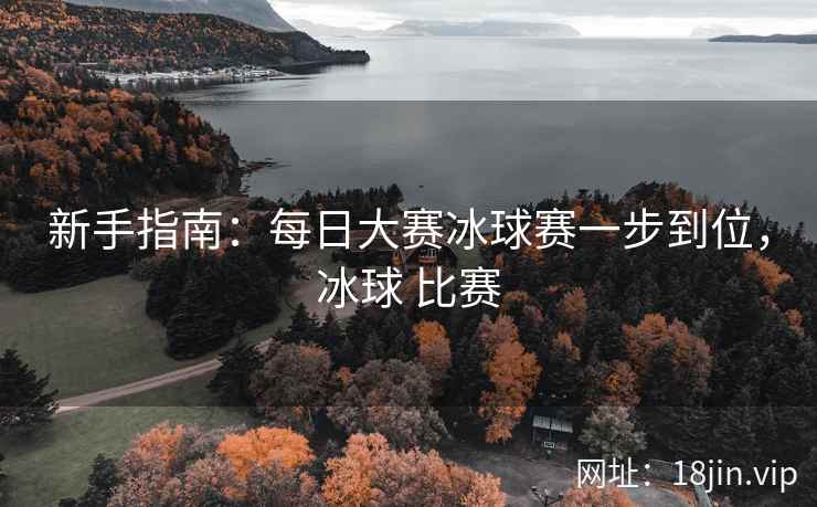 新手指南：每日大赛冰球赛一步到位，冰球 比赛